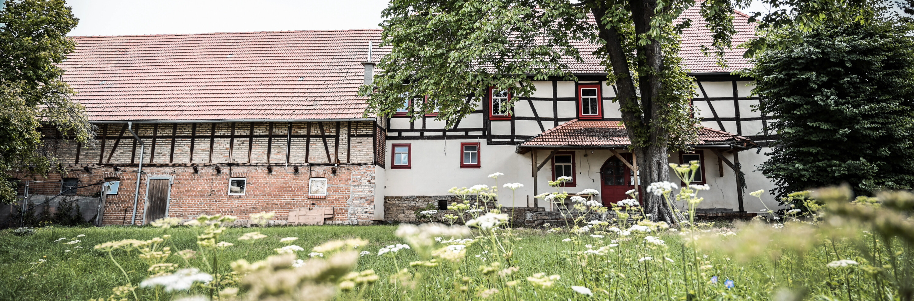 Außenansicht des Schokoladenhofs in Wülfershausen mit blühender Sommerwiese.