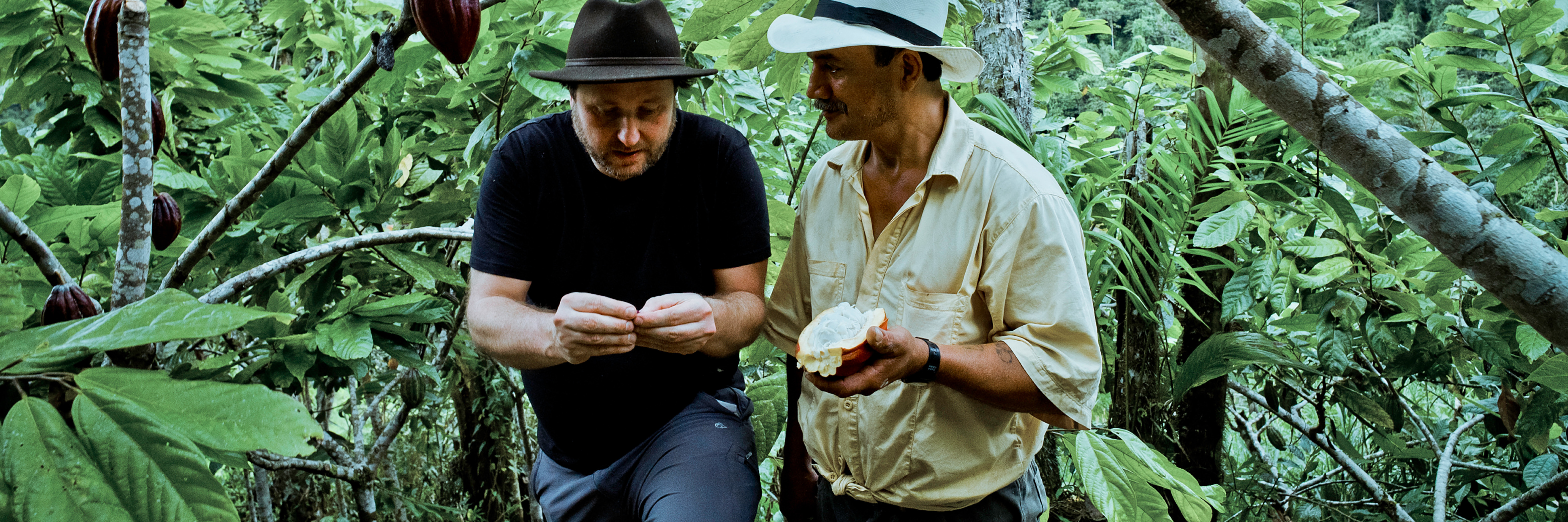 Alex Kühn inspiziert eine frische Kakaofrucht mit einem heimischen Kakaobauern aus Ecuador inmitten des Dschungels.