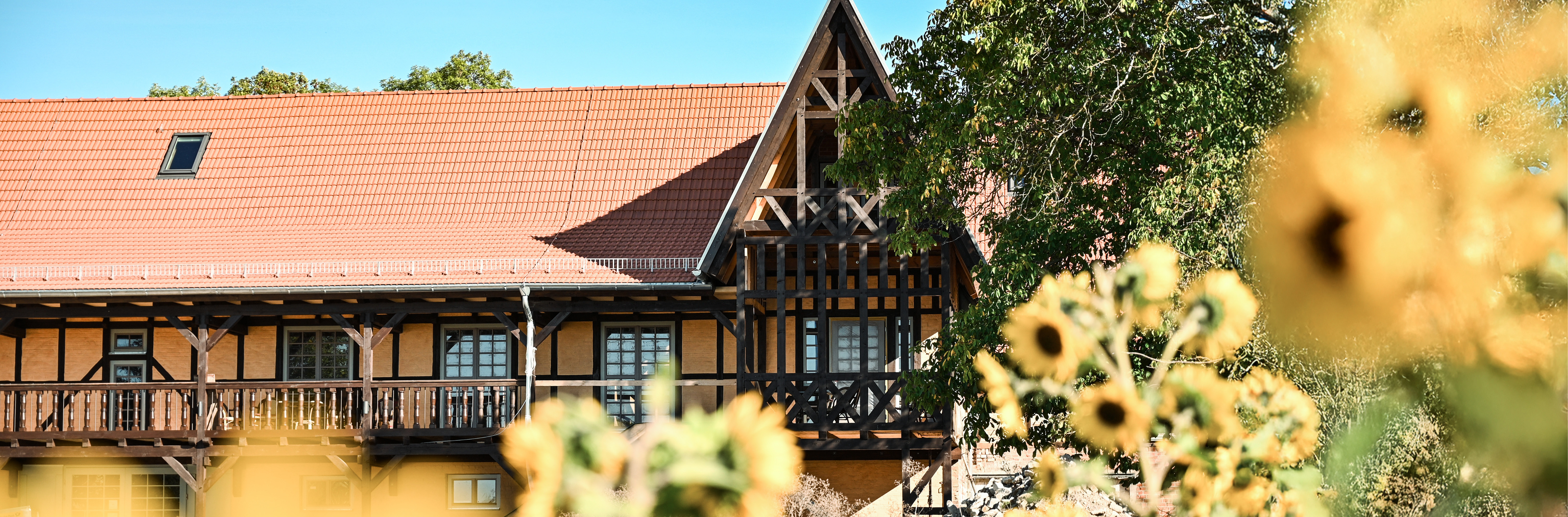 Goldhelm Schokoladenhof, im Vordergrund des Bildes ein blühendes Feld aus gelben Sonnenblumen