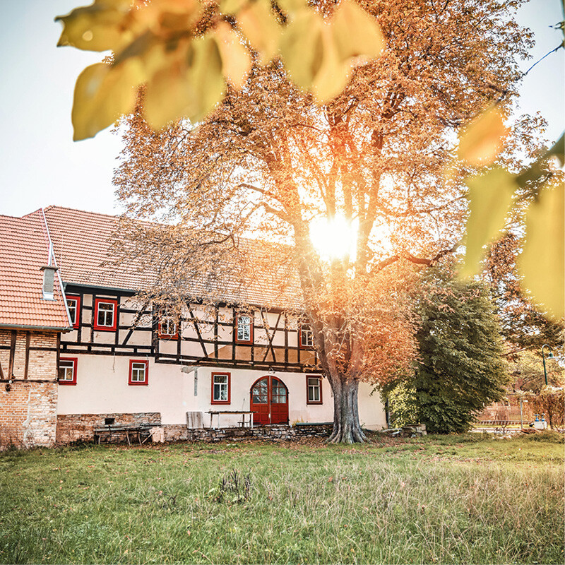 Goldhelm Schokoladenhof Seitenansicht
