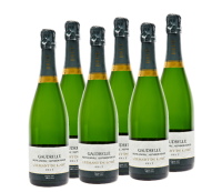 0,75 l Flasche - Crémant de Loire | 6er