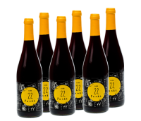 0,75 l Flasche - 22 Punkt Rotwein | 6er